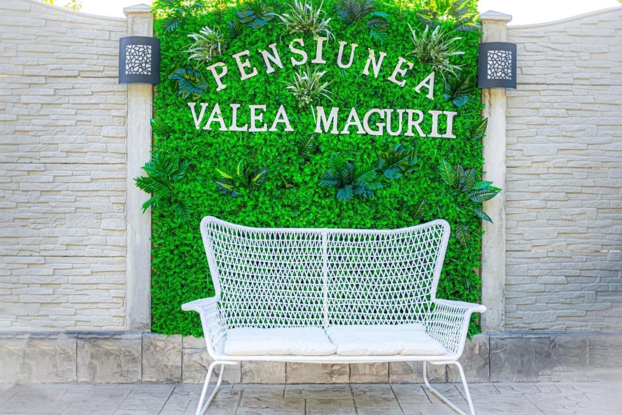 Pensiunea Valea Magurii Novaci-Străini Buitenkant foto